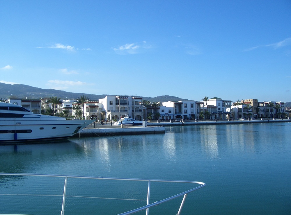 blog image